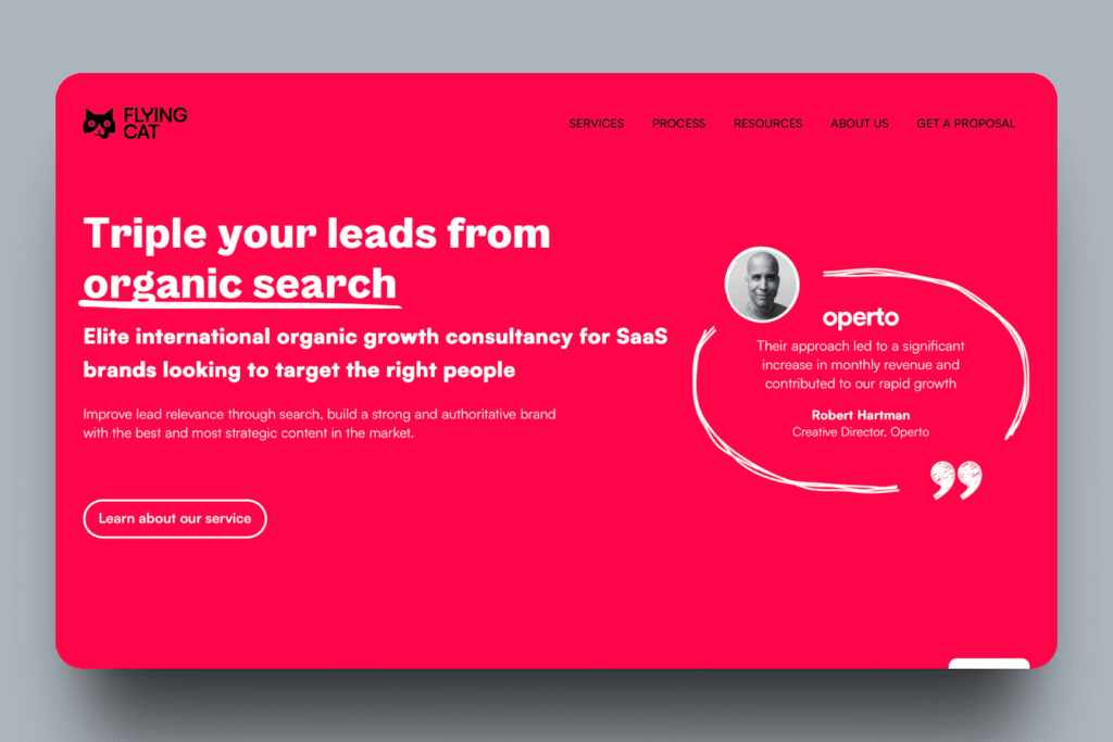 Flying Cat Marketing - SaaS Marketing Agencies